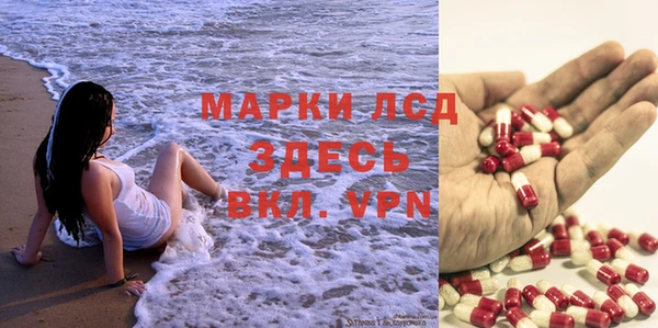 mdpv Дмитров