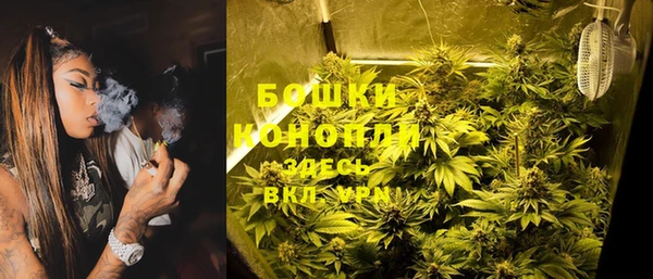 мет Гусев